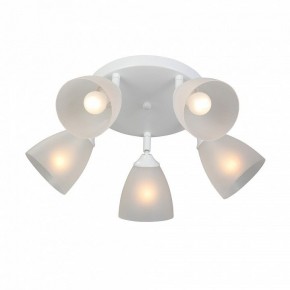 Потолочная люстра Vitaluce V4355 V4355-0/5PL в Ноябрьске - noyabrsk.ok-mebel.com | фото 3