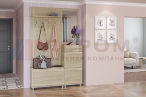 Прихожая Мелисса композиция 8 (Ясень Асахи) в Ноябрьске - noyabrsk.ok-mebel.com | фото