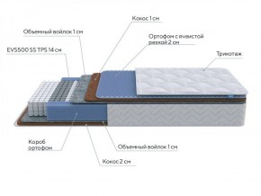 PROxSON Матрас Active Duo M/F (Ткань Трикотаж Эко) 120x190 в Ноябрьске - noyabrsk.ok-mebel.com | фото 6