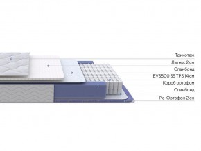 PROxSON Матрас Active Duo S/F (Ткань Трикотаж Эко) 120x200 в Ноябрьске - noyabrsk.ok-mebel.com | фото 2