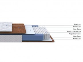 PROxSON Матрас Active F Roll (Ткань Трикотаж Эко) 160x195 в Ноябрьске - noyabrsk.ok-mebel.com | фото 2