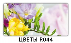 Раздвижной СТ Бриз орхидея R041 Доска D112 в Ноябрьске - noyabrsk.ok-mebel.com | фото 16