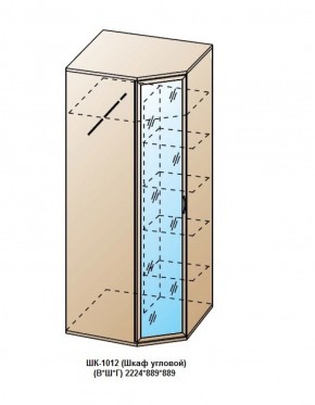 ШК-1012 (Шкаф угловой) в Ноябрьске - noyabrsk.ok-mebel.com | фото