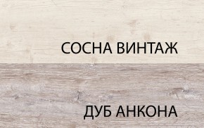 Шкаф 2D1S, MONAKO, цвет Сосна винтаж/дуб анкона в Ноябрьске - noyabrsk.ok-mebel.com | фото