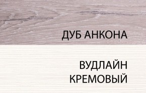 Шкаф 2DG, OLIVIA, цвет вудлайн крем/дуб анкона в Ноябрьске - noyabrsk.ok-mebel.com | фото 3