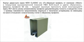 Шкаф-купе 1500 серии NEW CLASSIC K2+K2+B2+PL2(2 ящика+1 штанга+1 полка) профиль «Капучино» в Ноябрьске - noyabrsk.ok-mebel.com | фото 17