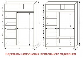 Шкаф-купе 1600 серии SOFT D1+D3+B2+PL1 (2 ящика+1штанга) профиль «Графит» в Ноябрьске - noyabrsk.ok-mebel.com | фото 6