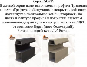 Шкаф-купе 1800 серии SOFT D1+D3+B2+PL1 (2 ящика+1штанга) профиль «Графит» в Ноябрьске - noyabrsk.ok-mebel.com | фото 11