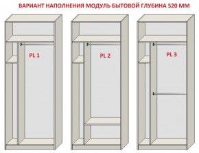 Шкаф распашной серия «ЗЕВС» (PL3/С1/PL2) Серый камень/Небраска натуральный в Ноябрьске - noyabrsk.ok-mebel.com | фото 5
