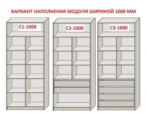 Шкаф распашной серия «ЗЕВС» (PL3/С1/PL2) Серый камень/Небраска натуральный в Ноябрьске - noyabrsk.ok-mebel.com | фото 7