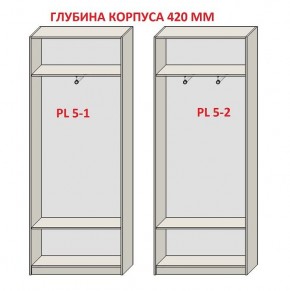 Шкаф распашной серия «ЗЕВС» (PL3/С1/PL2) Серый камень/Небраска натуральный в Ноябрьске - noyabrsk.ok-mebel.com | фото 8