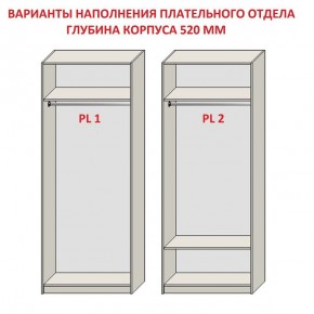 Шкаф распашной серия «ЗЕВС» (PL3/С1/PL2) Серый камень/Небраска натуральный в Ноябрьске - noyabrsk.ok-mebel.com | фото 9