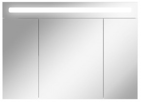 Шкаф-зеркало Аврора 100 с подсветкой LED Домино (DV8012HZ) в Ноябрьске - noyabrsk.ok-mebel.com | фото