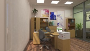 Шкафы для документов Р.Ш-4СБ в Ноябрьске - noyabrsk.ok-mebel.com | фото 5