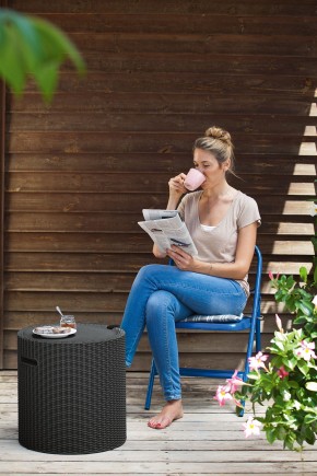Столик-холодильник Кул-Стул (Cool stool) графит в Ноябрьске - noyabrsk.ok-mebel.com | фото