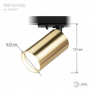 Светильник на штанге Эра  TR39-GU10 BS в Ноябрьске - noyabrsk.ok-mebel.com | фото 6
