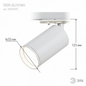 Светильник на штанге Эра  TR39-GU10 WH в Ноябрьске - noyabrsk.ok-mebel.com | фото 7