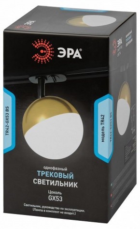 Светильник на штанге Эра  TR42-GX53 BS в Ноябрьске - noyabrsk.ok-mebel.com | фото 6