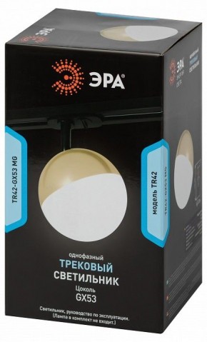 Светильник на штанге Эра  TR42-GX53 MG в Ноябрьске - noyabrsk.ok-mebel.com | фото 6