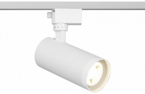 Светильник на штанге Эра  TR59 - 2040 WH в Ноябрьске - noyabrsk.ok-mebel.com | фото