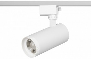 Светильник на штанге Эра  TR59 - 2040 WH в Ноябрьске - noyabrsk.ok-mebel.com | фото 2