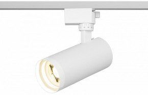 Светильник на штанге Эра  TR59 - 2040 WH в Ноябрьске - noyabrsk.ok-mebel.com | фото 5