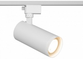 Светильник на штанге Эра  TR59 - 3030 WH в Ноябрьске - noyabrsk.ok-mebel.com | фото