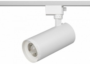 Светильник на штанге Эра  TR59 - 3030 WH в Ноябрьске - noyabrsk.ok-mebel.com | фото 2