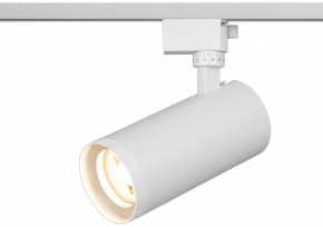 Светильник на штанге Эра  TR59 - 3030 WH в Ноябрьске - noyabrsk.ok-mebel.com | фото 5