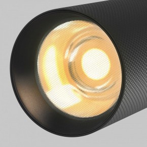 Светильник на штанге Maytoni Artisan TR097-2-12W2.7K-M-BB в Ноябрьске - noyabrsk.ok-mebel.com | фото 9