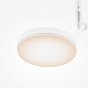 Светильник на штанге Maytoni Fad MOD070CL-L8W3K в Ноябрьске - noyabrsk.ok-mebel.com | фото 4