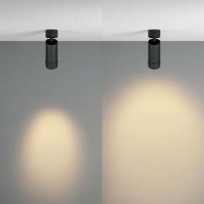 Светильник на штанге Maytoni Focus Zoom C055CL-L12W2.7K-Z-B в Ноябрьске - noyabrsk.ok-mebel.com | фото 3