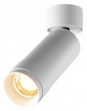 Светильник на штанге Maytoni Focus Zoom C055CL-L12W2.7K-Z-W в Ноябрьске - noyabrsk.ok-mebel.com | фото