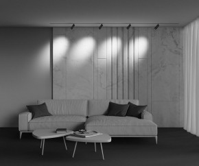 Светильник на штанге Maytoni Focus Zoom TR212-4-12WTW-Z-DSZ-B в Ноябрьске - noyabrsk.ok-mebel.com | фото 6