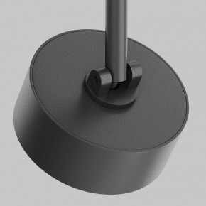 Светильник на штанге Maytoni Lens TR217-2-15W3K-B в Ноябрьске - noyabrsk.ok-mebel.com | фото 11