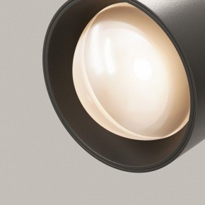 Светильник на штанге Maytoni Lens TR217-2-15W3K-B в Ноябрьске - noyabrsk.ok-mebel.com | фото 12
