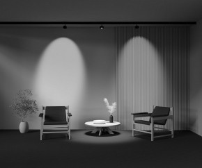 Светильник на штанге Maytoni Lens TR217-2-15W3K-B в Ноябрьске - noyabrsk.ok-mebel.com | фото 7