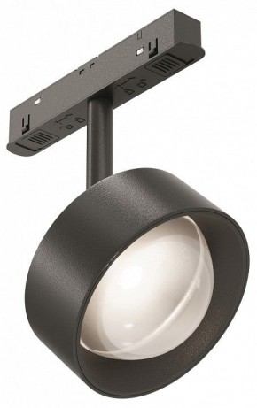 Светильник на штанге Maytoni Lens TR217-2-15W4K-B в Ноябрьске - noyabrsk.ok-mebel.com | фото
