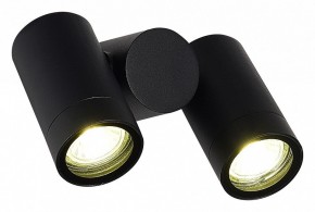 Светильник на штанге ST-Luce Ecollo SL9011.402.02 в Ноябрьске - noyabrsk.ok-mebel.com | фото 3