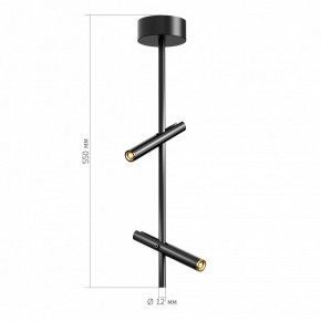 Светильник на штанге ST-Luce LILT SL6210.403.02 в Ноябрьске - noyabrsk.ok-mebel.com | фото 3