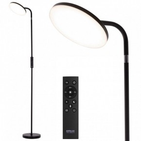 Торшер Citilux SOLO CL804061 в Ноябрьске - noyabrsk.ok-mebel.com | фото 2
