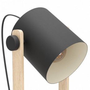 Торшер Eglo HORNWOOD 43521 в Ноябрьске - noyabrsk.ok-mebel.com | фото 4