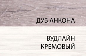 Тумба RTV 1V2D1S, OLIVIA, цвет вудлайн крем/дуб анкона в Ноябрьске - noyabrsk.ok-mebel.com | фото 5