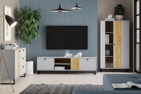 Тумба ТВА НМ 014.46 "Бруно" в Ноябрьске - noyabrsk.ok-mebel.com | фото 3