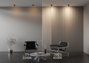 Встраиваемый светильник Maytoni Onda DL024-12W-DTW-BMG в Ноябрьске - noyabrsk.ok-mebel.com | фото 9